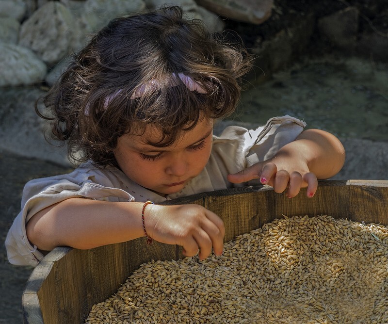 Playing with corn - General