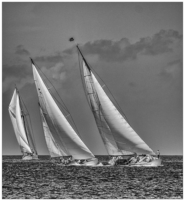 A fight to the finish - Monochrome