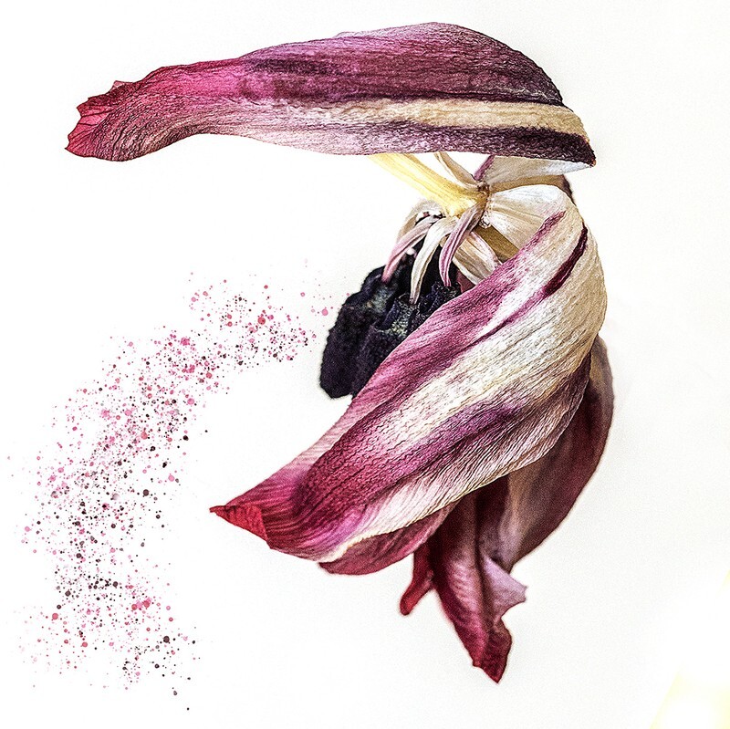 The last breathe - Flora
