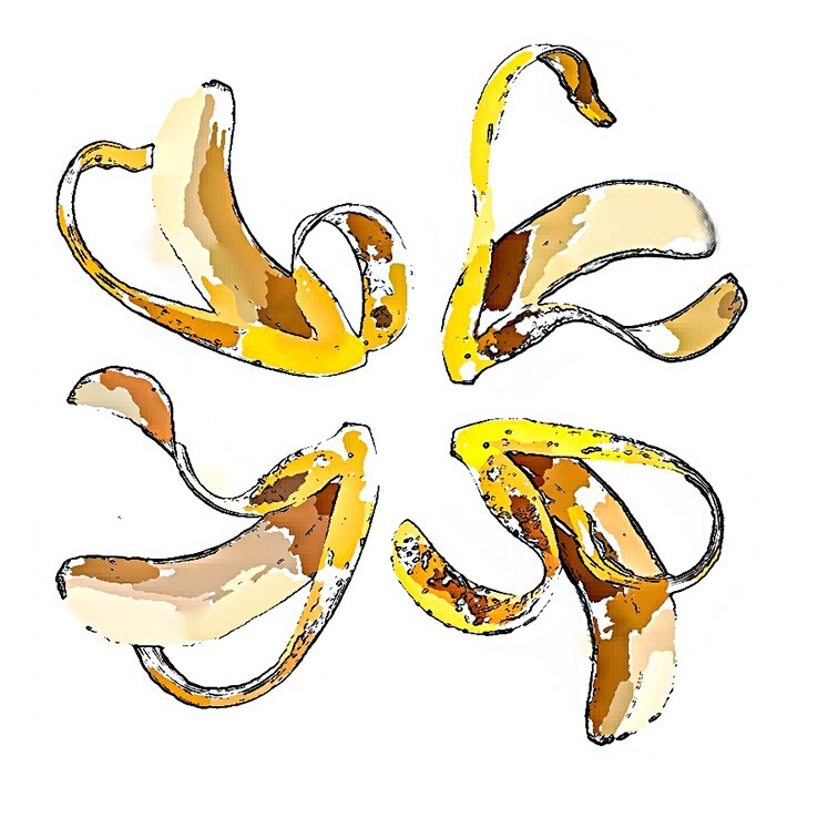 Banana skins - Abstract