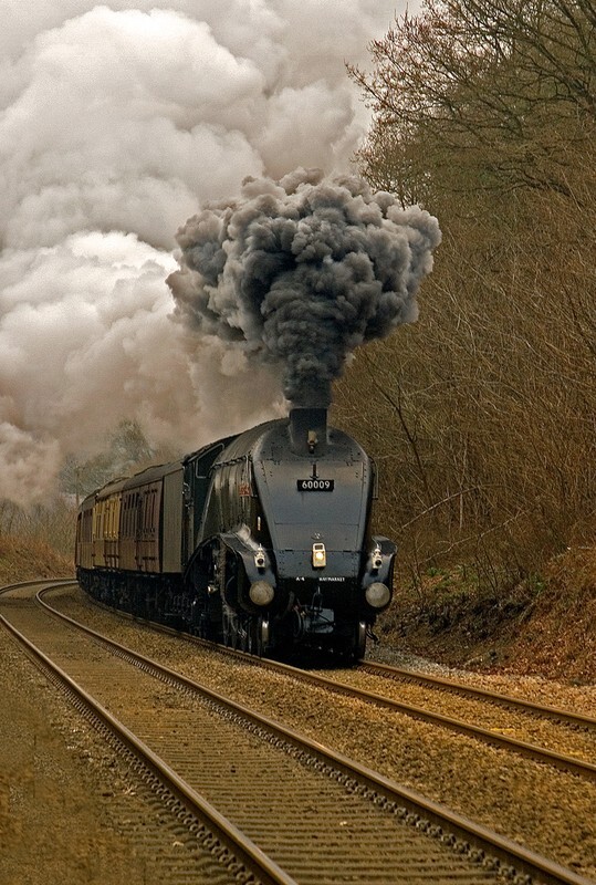 Full steam and smoke ahead - Recent Work