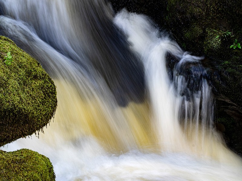 Moss on the rocks - Water