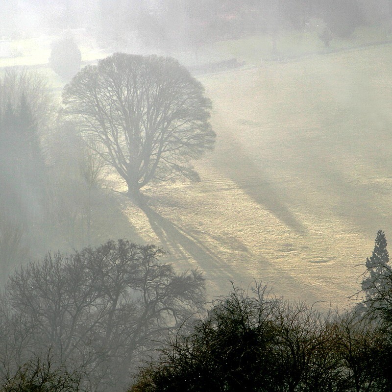 Early morning sun - Landscape