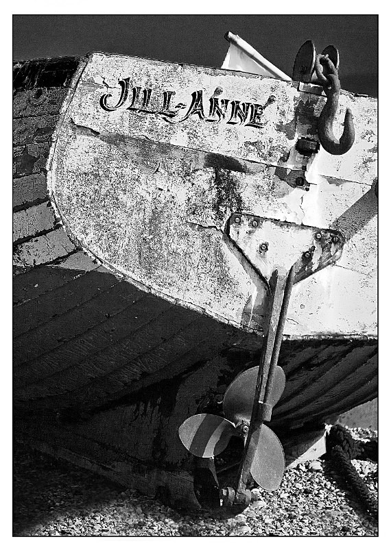 Jill Anne Aldeburgh - Monochrome