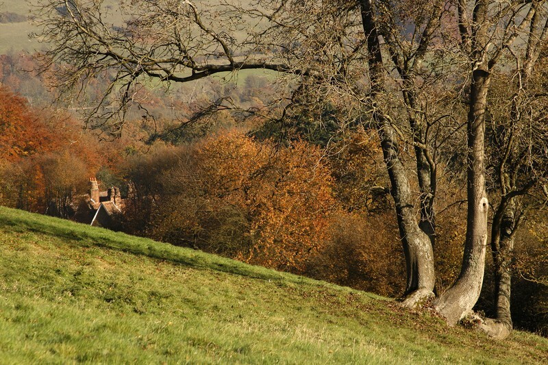 Autumn on the North Downs - Landscape