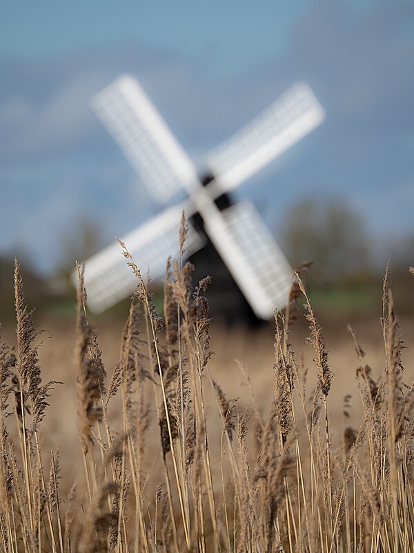 Windmill at Wicken Fen - Landscape
