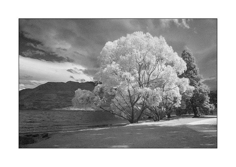 Queenstown lakeside - Monochrome