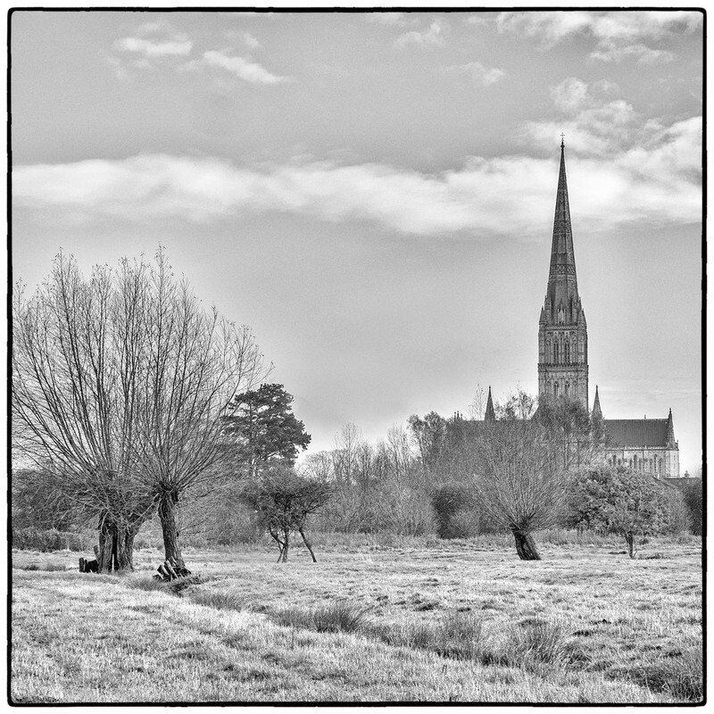 Salisbury Cathedral from the meadows - Monochrome