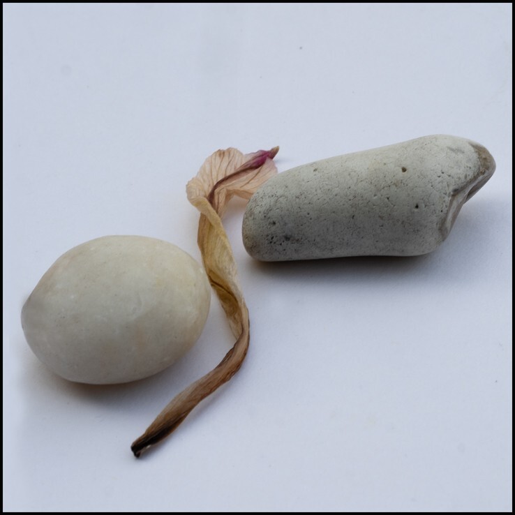 S curve stones and shadows - Abstract