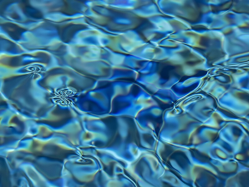 Aquatic reflections - Recent Work