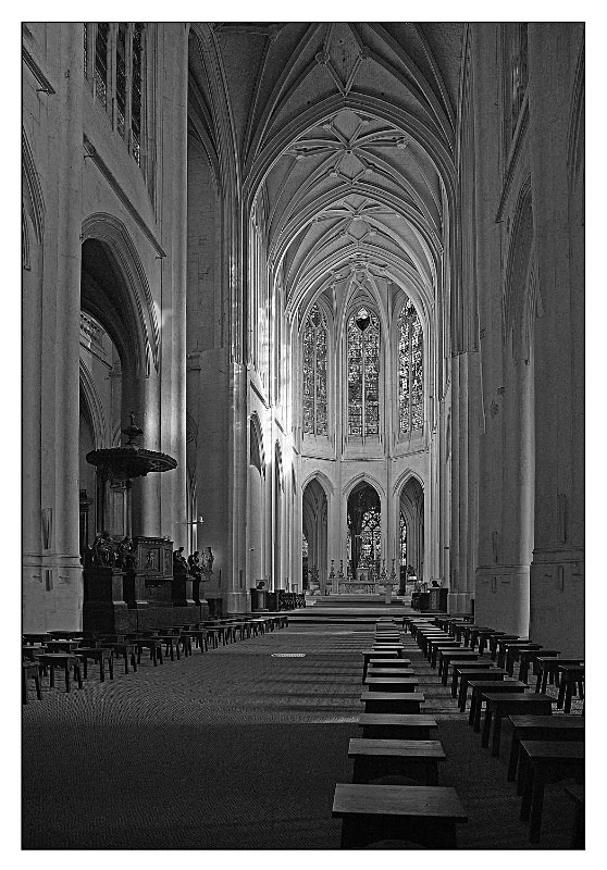 Notre Dame Paris - Monochrome
