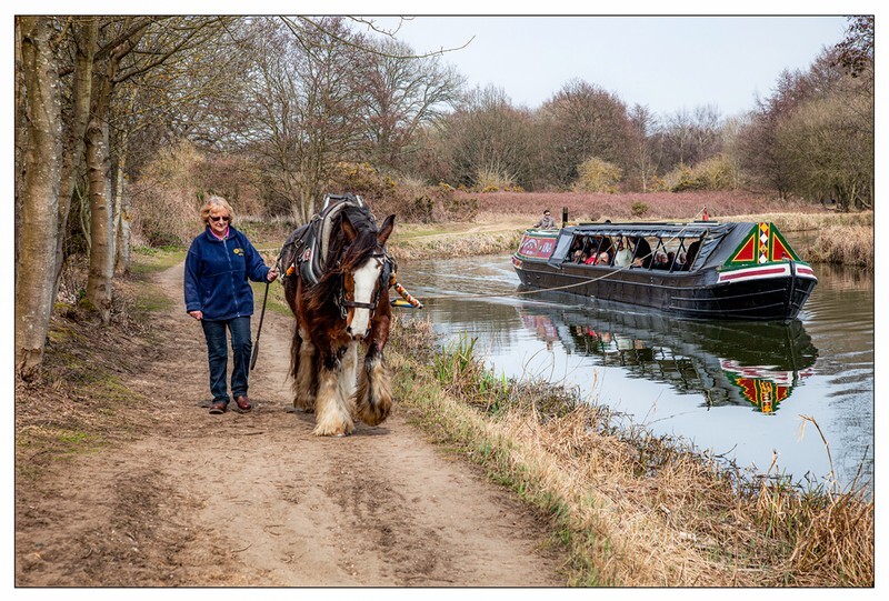Towing under horse power - Landscape