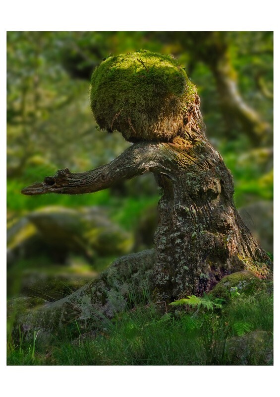 Stunted Oak Wistmans Wood - Abstract