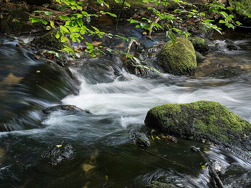 Golithia Falls river - Recent Work