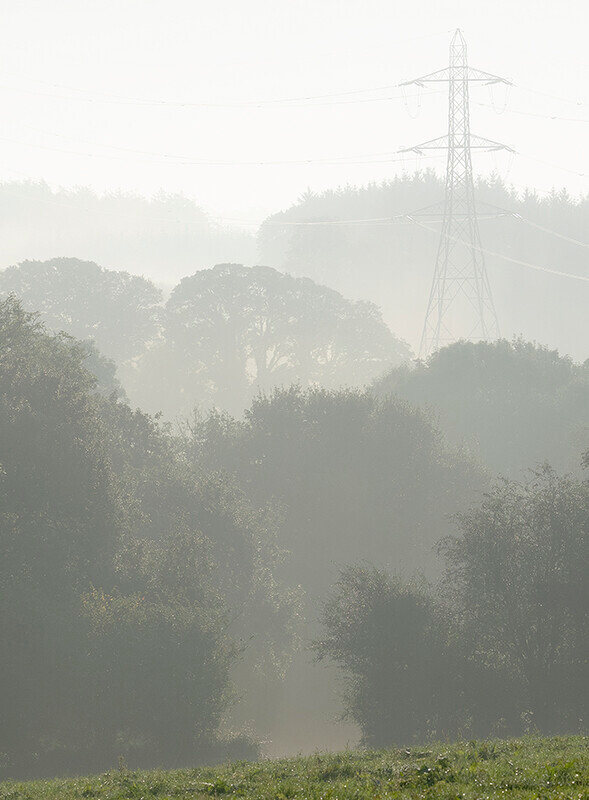Morning mist - Recent Work