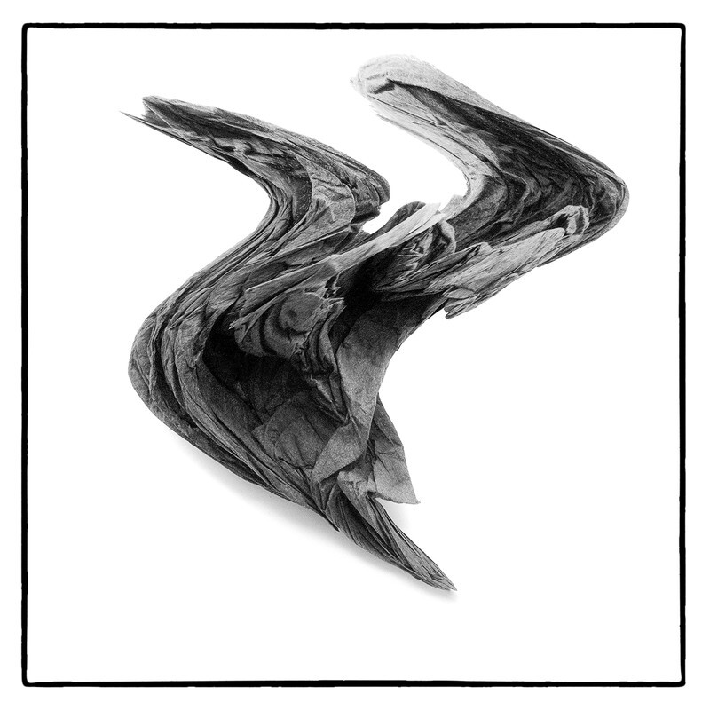 03-Bird - Abstract