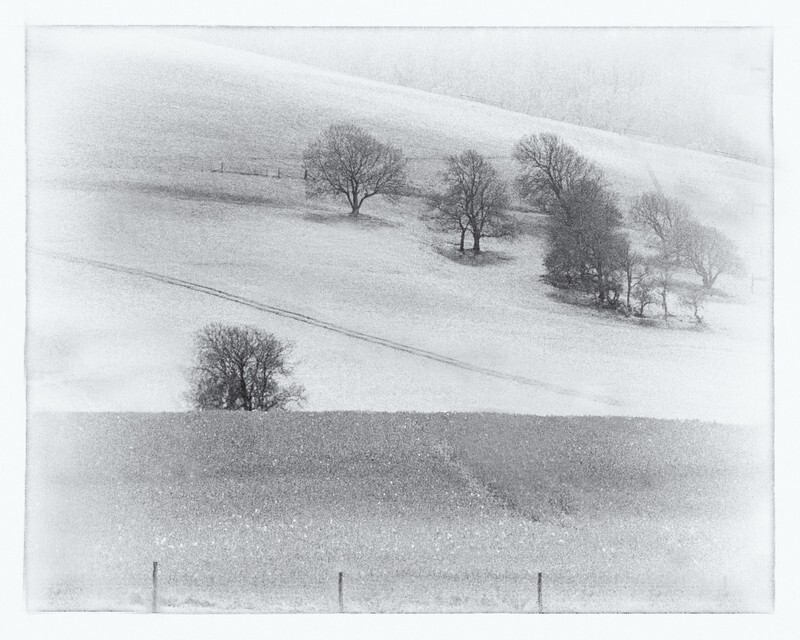 South Downs near Storrington - Monochrome