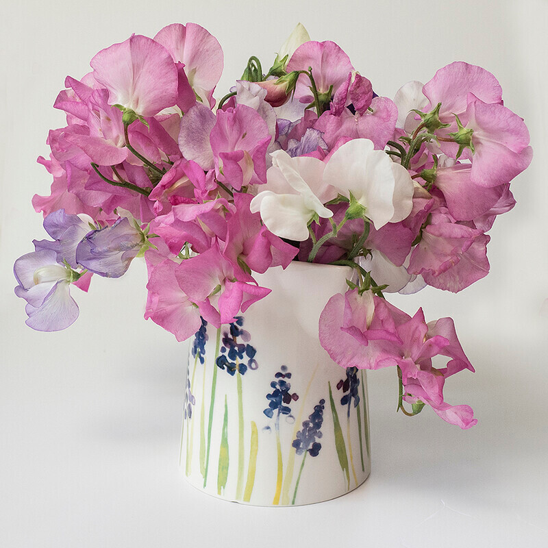 Jug full of sweetpeas - Recent Work