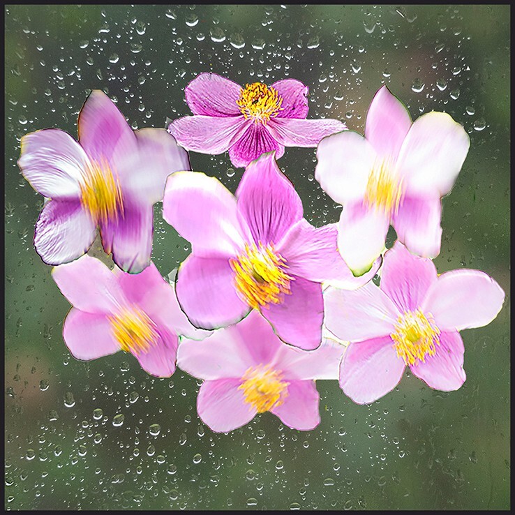 Blowing in the wind and rain - Abstract