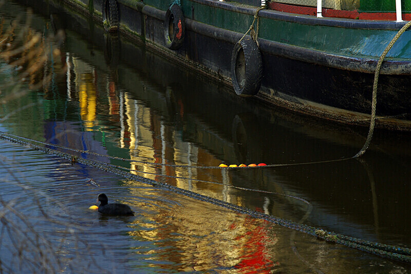  - River Thames, Isleworth to Chiswick