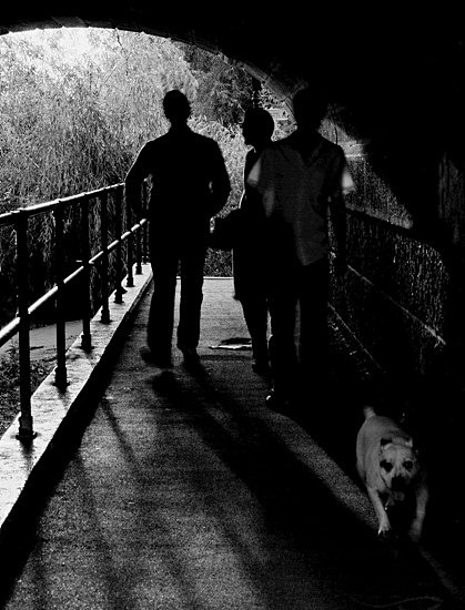  - River Thames, Isleworth to Chiswick