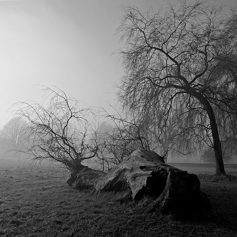  - Godalming, Surrey UK