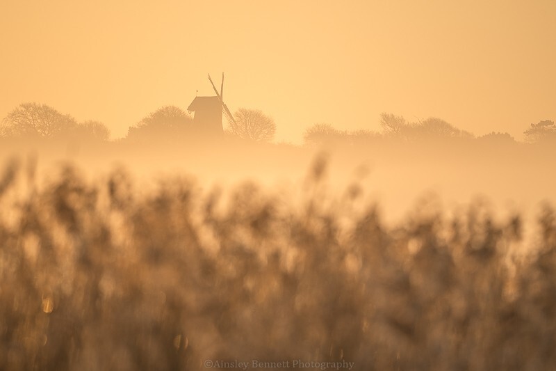 ab624 Bembridge windmill first light - Bembridge and St Helens