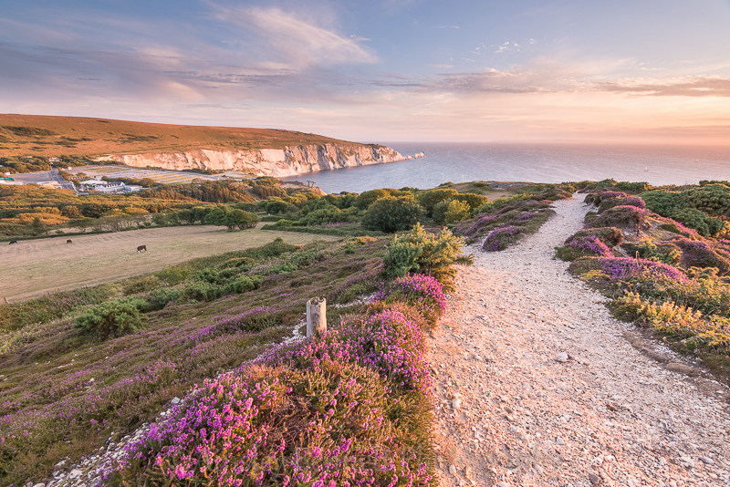 ab54 Headon Warren - The Needles and Alum Bay