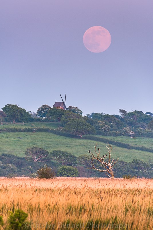 ab378 Flower Moon over Bembridge - Bembridge and St Helens