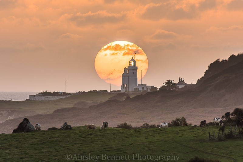 ab426 St Catherines lighthouse at sunset - St Catherine's point and Castlehaven