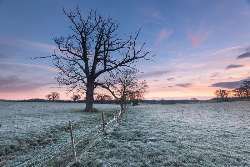 ab115 Nunwell frost - Central areas of the Island