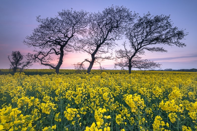 ab552 Springtime sunset - Central areas of the Island