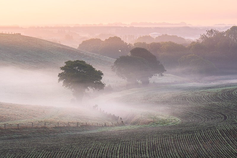 ab663 Merstone Morning Mist - Latest Images