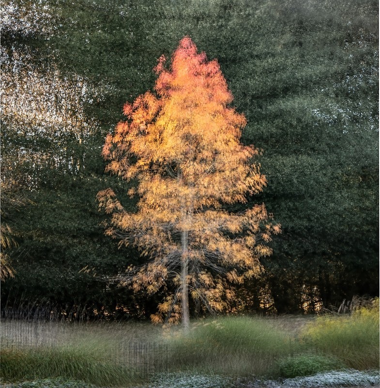 IMG_1120 v4 - ICM