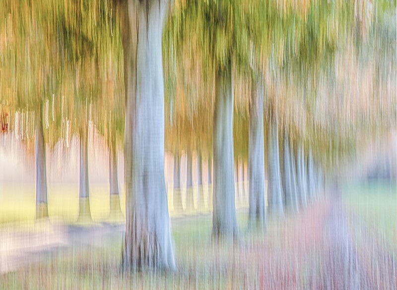 IMG_0720-v9-v4-resized - ICM