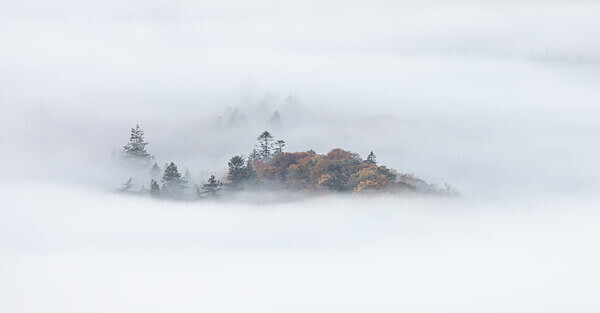 Lattrigg Mist detail IMG_2452 v2 - Best of 2019 - Autumn, Winter