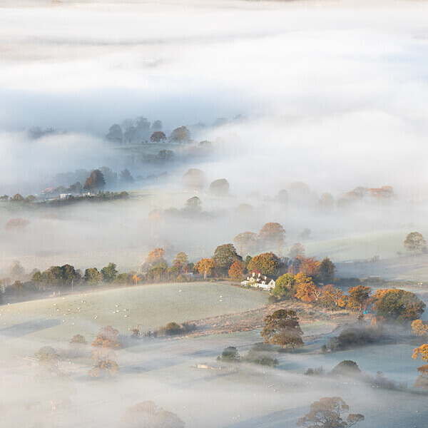 Lattrigg Mist IMG_2496 v2 - Best of 2019 - Autumn, Winter