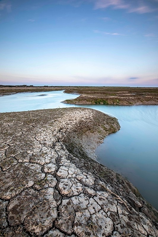 Pagham Harbour 2419 deg - Best of 2018