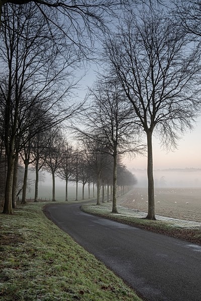 Moor Crichel 3356 - Best of 2019 - Spring, Summer
