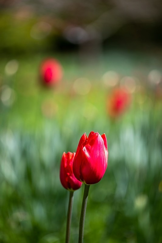 IMG_6877 - Best of 2023