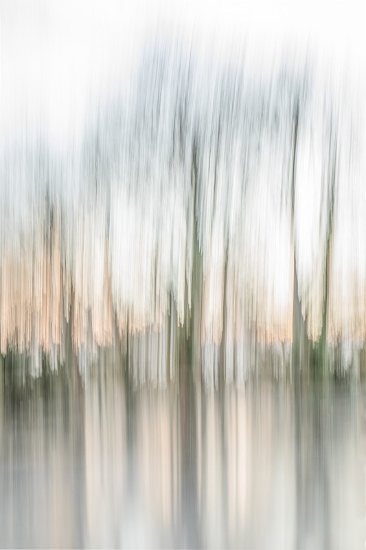 IMG_1302 v5 - ICM