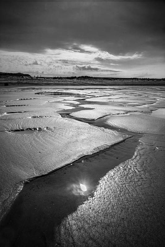 IMG_9519 bw - Best of 2023
