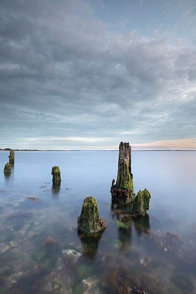 Langstone sticks IMG_8971-v2-resized - Best of 2020