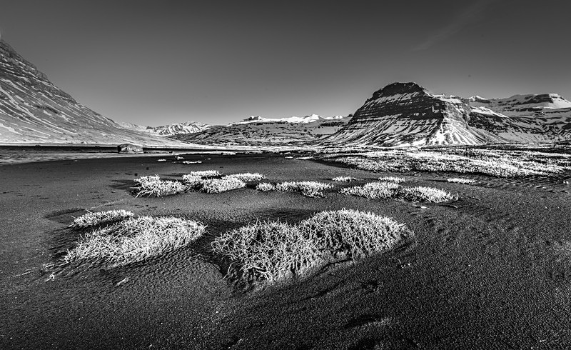 IMR_3010 v2 bw - Iceland Spring 2024