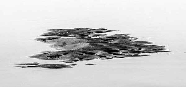 Hayling Island IMG_7998 bw v2 b - Best of 2019 - Autumn, Winter