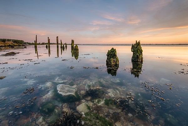 North Hayling 8957 v3 - Best of 2019 - Spring, Summer