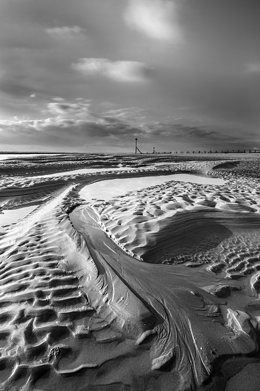 IMG_6778 bw v2 - Portfolio