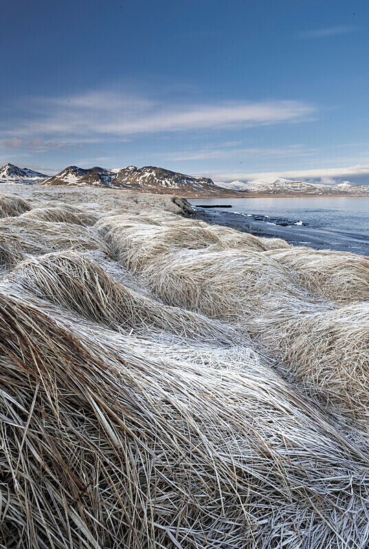IMR_3476 v3 - Iceland Spring 2024