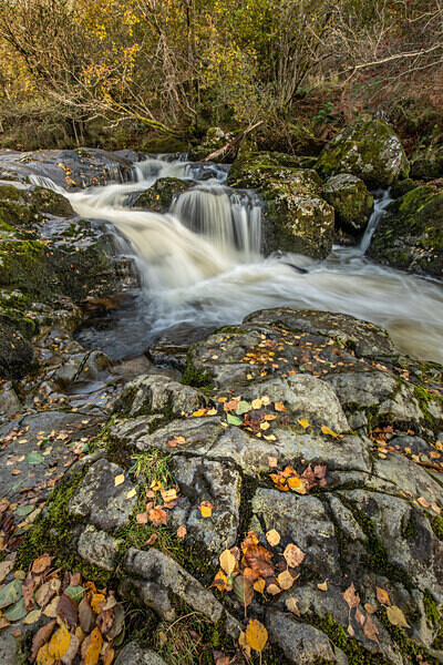 Aira Force IMG_2108 - Best of 2019 - Autumn, Winter