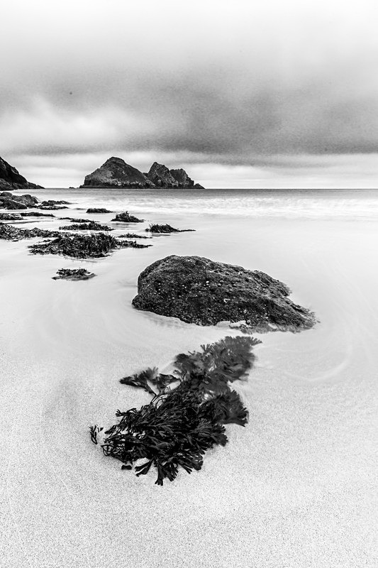 IMG_8393 copy - Cornwall 2023